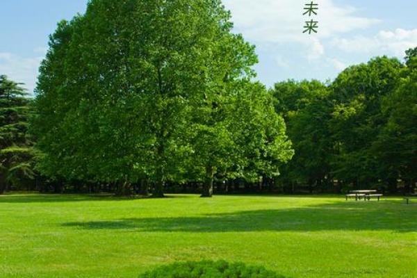 农历三月：植树节与自然亲近，传递绿色理念