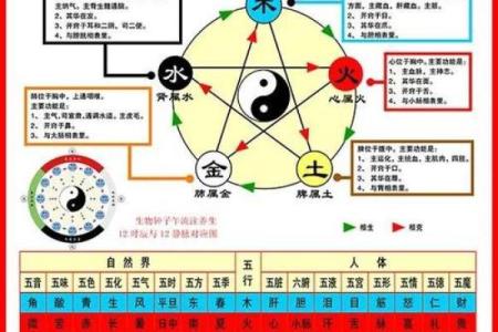 稷五行格局揭秘：性格解析如何助你职场飞跃？