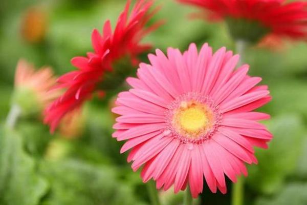 冬水命理能改运吗？揭秘命运背后的秘密