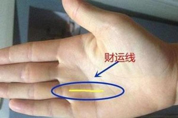 陈都灵命理揭秘：能改运吗？合婚看什么，命运不同的真相解析