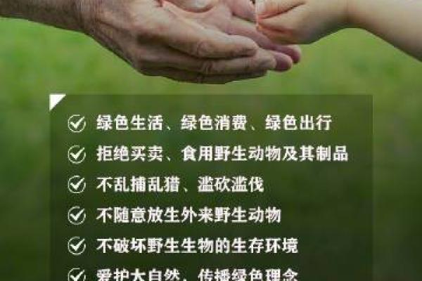 世界环境日：关注地球家园，共同守护绿色未来