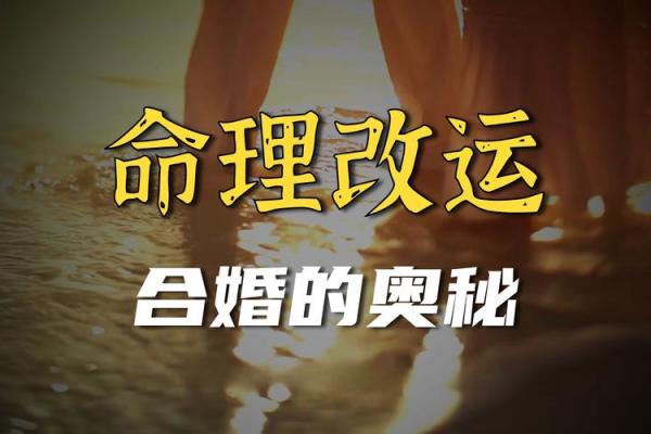 解析命运不同的奥秘：新浪命理测算如何帮你改运和合婚