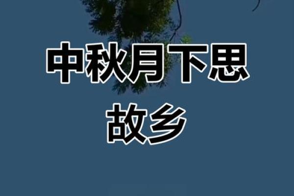 中秋：赏月寄思，探寻团圆与亲情的深意