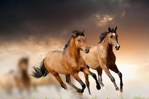 揭秘黄洋命理：能改运吗？合婚看什么？命运不同的深层解析