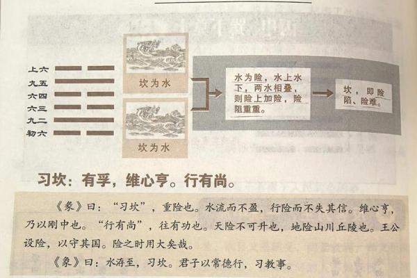 性格解析新视角：汤五行属水，如何洞察并优化你的格局？