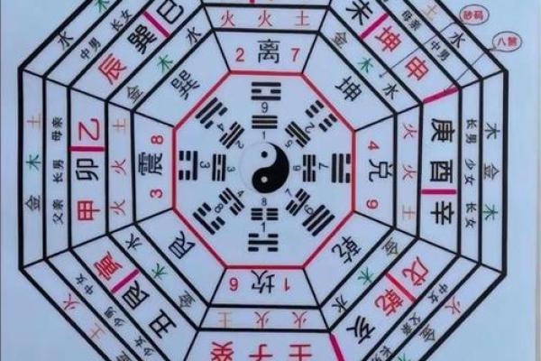 揭秘梅花派命理:能改运吗?合婚看什么?命运为何不同? 揭秘梅花派命理:能改运吗?合婚看什么?命运为何不同?