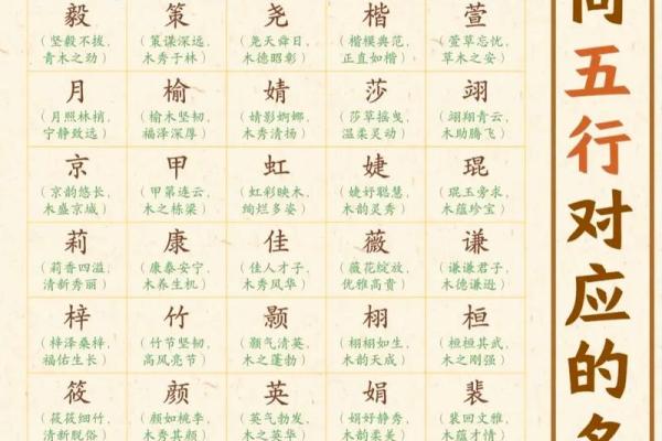 颠覆传统五行观：揭秘五行格局如何反其道而行之