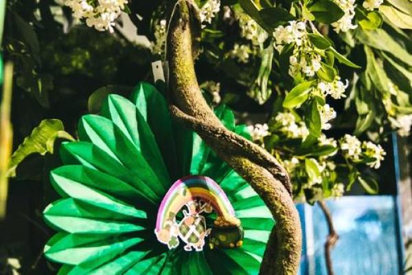 圣帕特里克节：绿意盎然，感受爱尔兰文化魅力