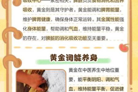 黄金五行性格解析：跳出误区，颠覆传统观念的实用指南