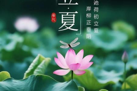 立夏：迎接夏日，享受季节养生之法