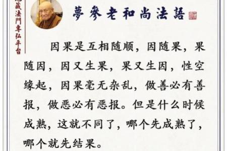 雷霆华盖命理解析：命运不同，如何通过合婚改变未来