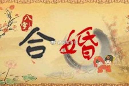 朝阳命理度揭秘：八字合婚能否逆转命运？命运为何差异如此大