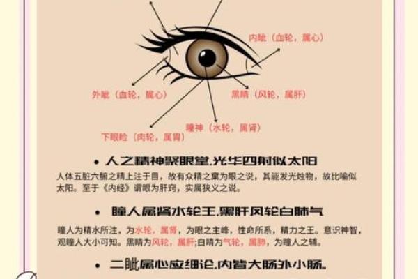 如何改变命运?从了解眼睛五行属什么开始,破解性格误区 如何改变命运?从了解眼睛五行属什么开始,破解性格误区