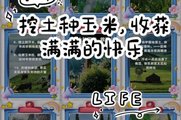 如何改变玉米五行属性？解锁你的潜力与命运