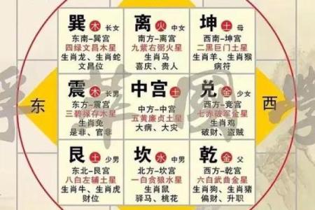 琦的五行格局如何布局？实用性格调整指南