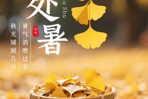 处暑：迎接秋风，养生与节令之变