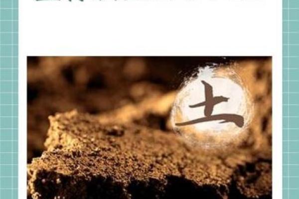 性格解析新视角：十画属木字，揭秘你的五行格局秘密