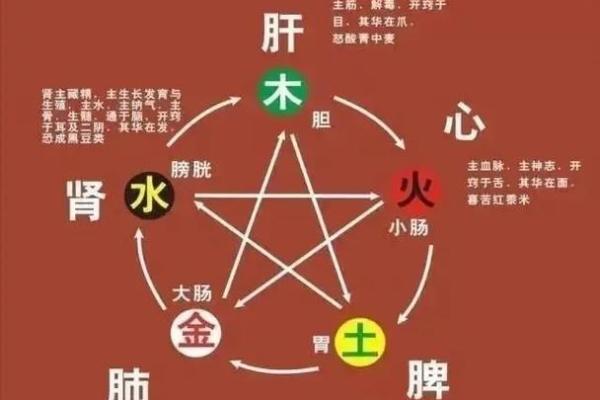 性格解析新视角：十画属木字，揭秘你的五行格局秘密