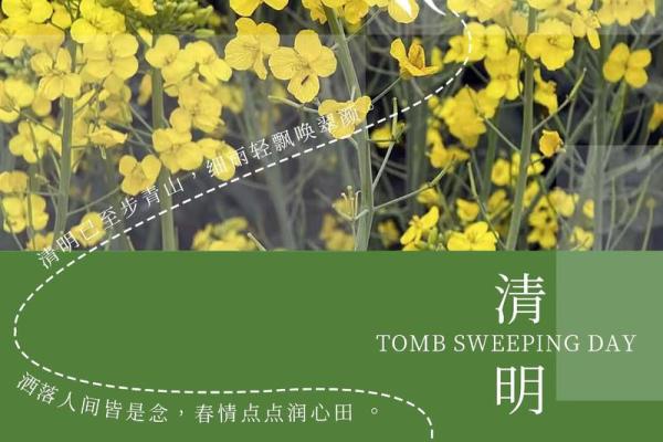 四月四日:清明节,感悟自然与生命轮回 四月四日:清明节,感悟自然与生命轮回