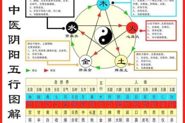 五行性格解析新视角:跳出误区,如何通过五行改变命运? 五行性格解析新视角:跳出误区,如何通过五行改变命运?