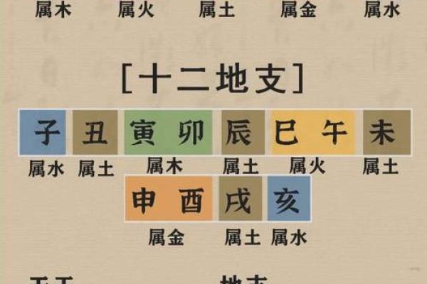 命运如何改变？八字合婚与命理搭配测算深度解析
