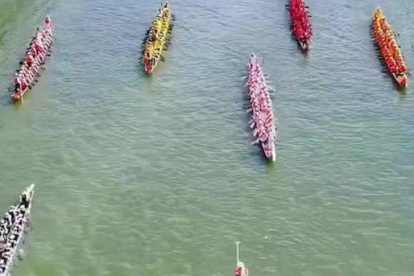 端午节：赛龙舟传承文化，粽香飘远