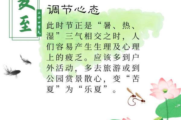 六月节气:夏至养生,调理身体平衡 六月节气:夏至养生,调理身体平衡