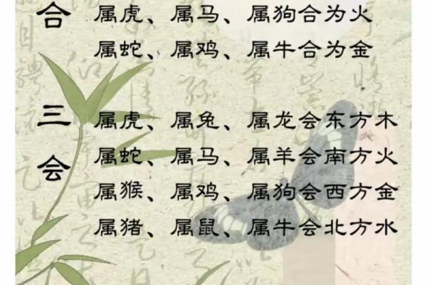 揭秘双重格命理与合婚：为什么命运不同？如何通过八字化解运势困局