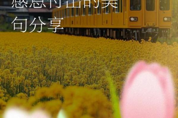 勤劳感恩日：感恩劳动者与生活中的辛勤付出