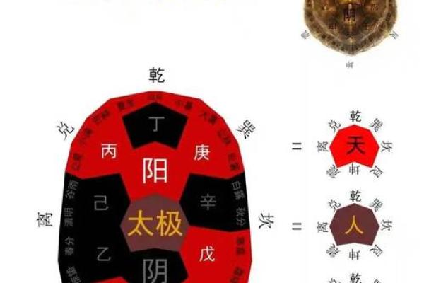 五行误区大揭秘：你真的懂如何利用五行格局吗？