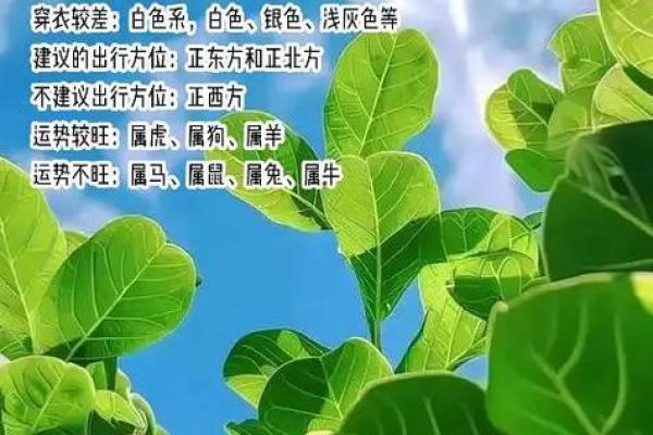 谢的五行格局如何改变？实用技巧教你提升运势