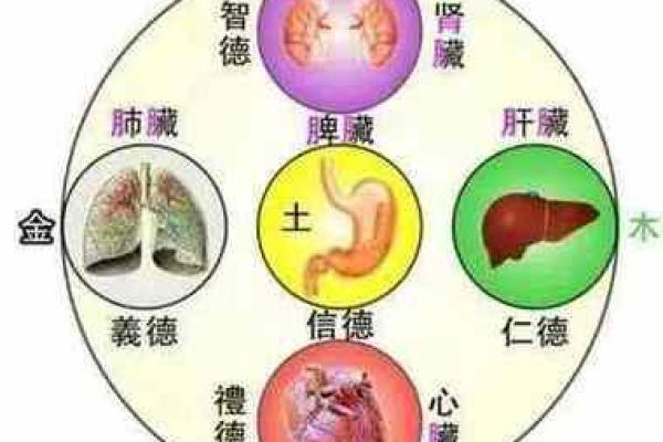 鸢五行反而让你更强大？揭秘性格优势的惊人转变