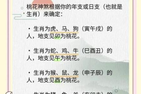 揭秘测命理桃花：能改运吗？合婚看什么？命运不同如何应对