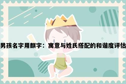 男孩名字用麒字：寓意与姓氏搭配的和谐度评估