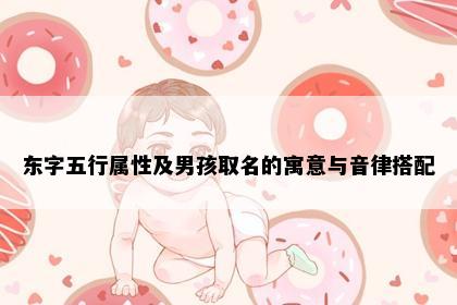 东字五行属性及男孩取名的寓意与音律搭配