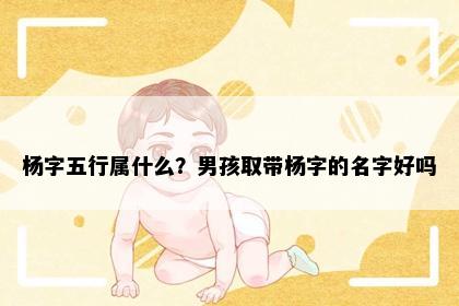 杨字五行属什么？男孩取带杨字的名字好吗