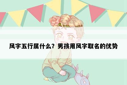 风字五行属什么？男孩用风字取名的优势