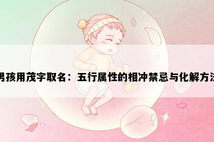 男孩用茂字取名:五行属性的相冲禁忌与化解方法