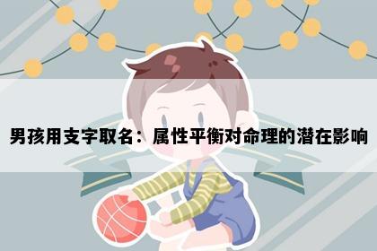 男孩用支字取名:属性平衡对命理的潜在影响