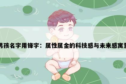 男孩名字用锋字:属性属金的科技感与未来感寓意