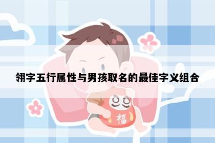 翎字五行属性与男孩取名的最佳字义组合