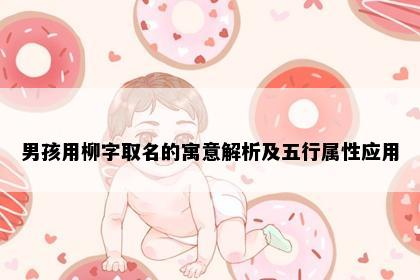 男孩用柳字取名的寓意解析及五行属性应用
