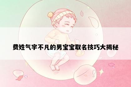费姓气宇不凡的男宝宝取名技巧大揭秘