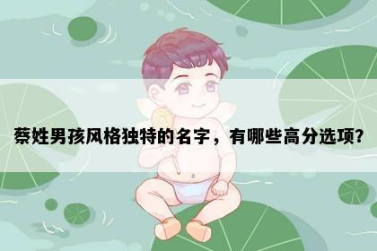 蔡姓男孩风格独特的名字，有哪些高分选项？