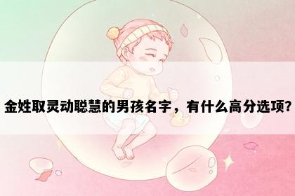 金姓取灵动聪慧的男孩名字，有什么高分选项？