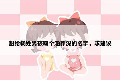 想给杨姓男孩取个涵养深的名字，求建议