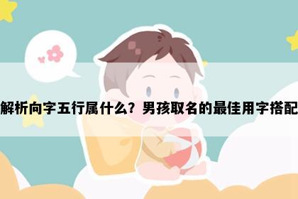 解析向字五行属什么？男孩取名的最佳用字搭配