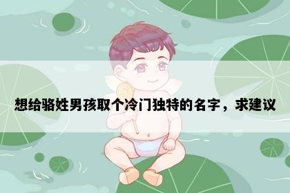 想给骆姓男孩取个冷门独特的名字，求建议