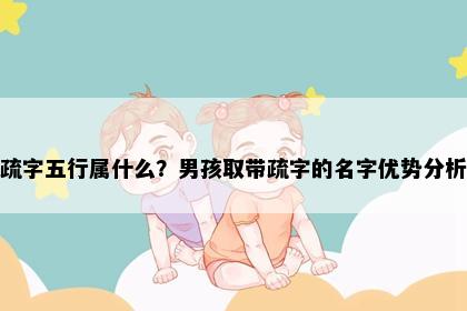 疏字五行属什么？男孩取带疏字的名字优势分析