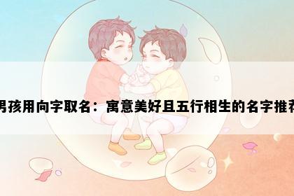 男孩用向字取名：寓意美好且五行相生的名字推荐